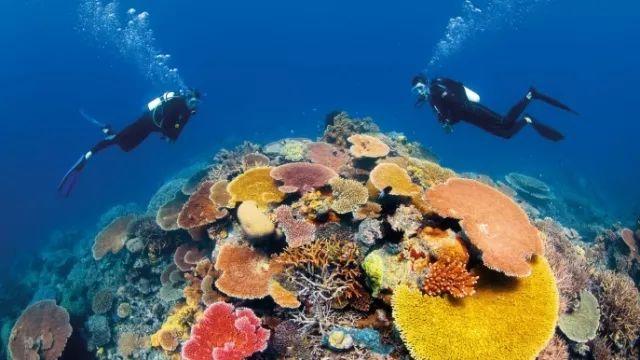 探索知识星球平台,满足你对如何批量取消新浪微博关注?快速取关方法的求知欲望
